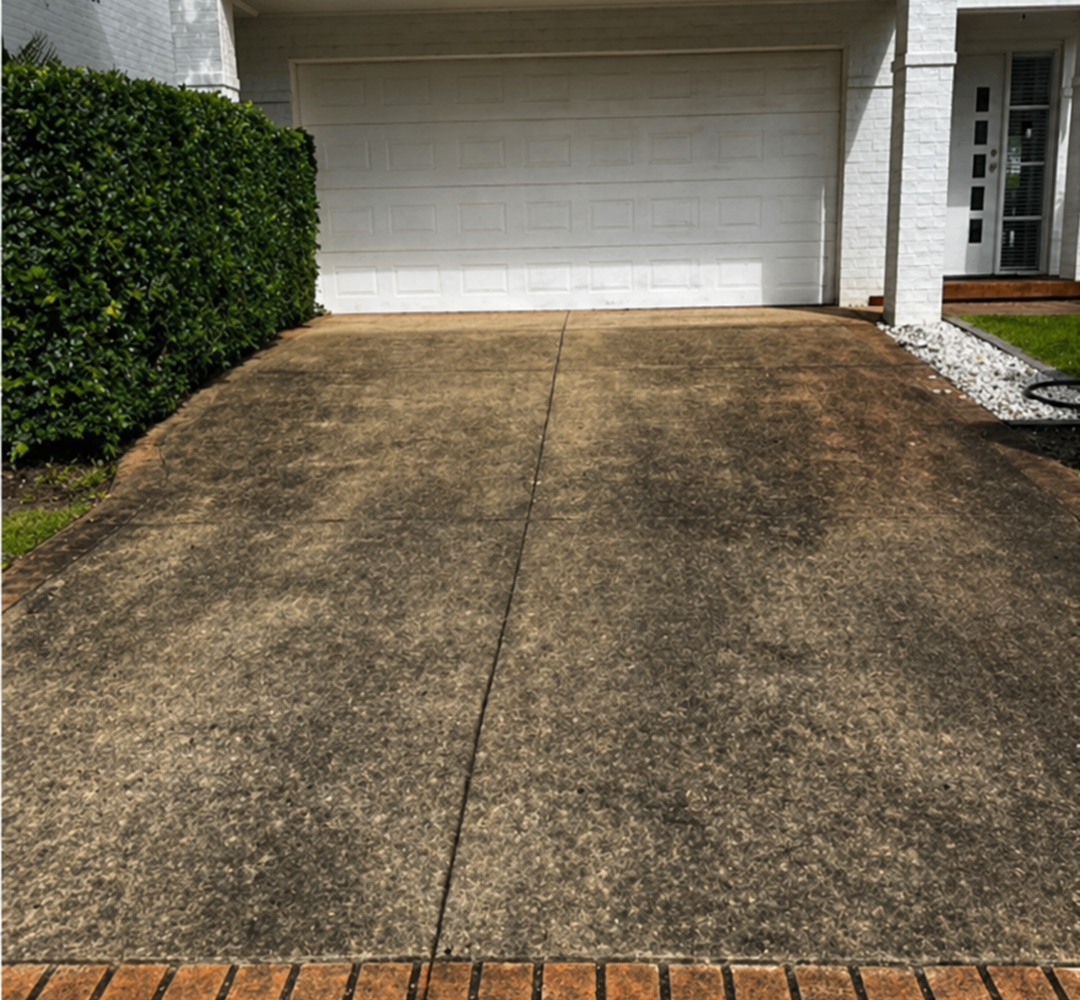 Dirty pet yard before pressure washing