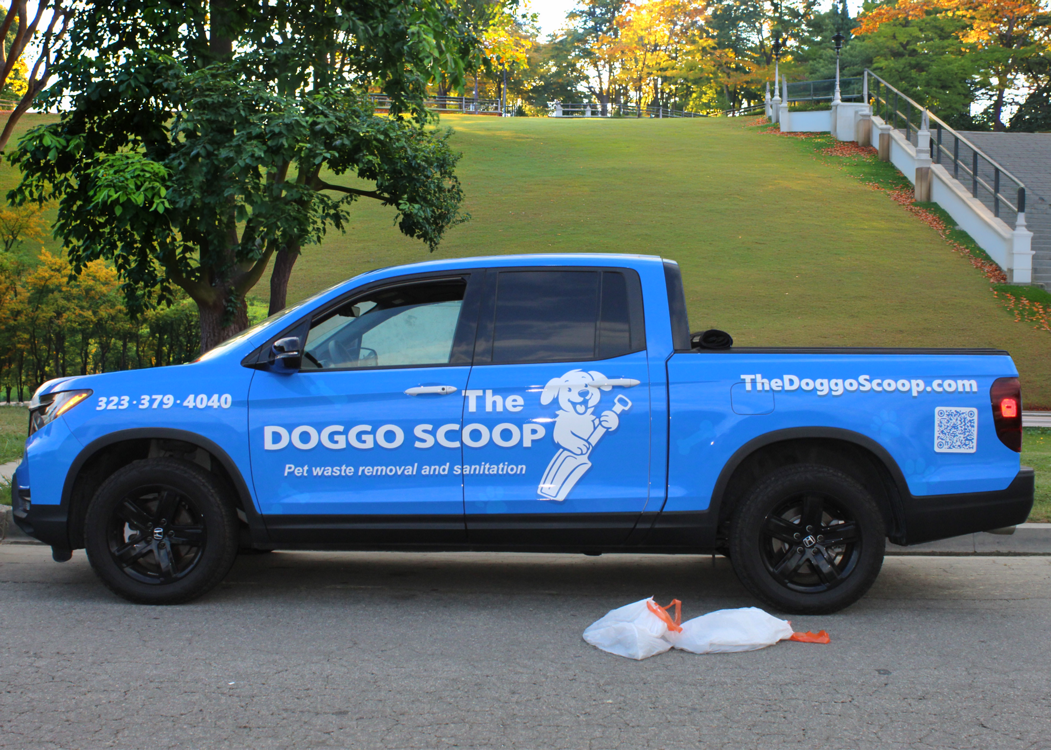 Pet yard showing odor problem zones