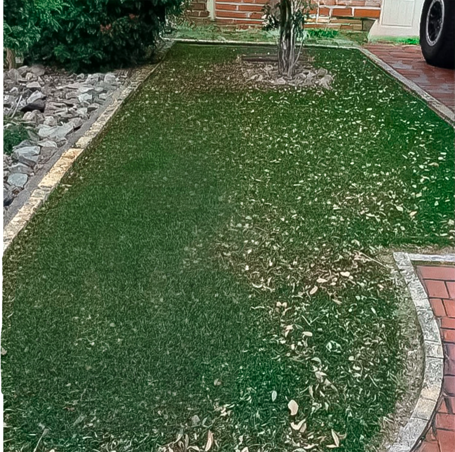 Dirty artificial turf before cleaning