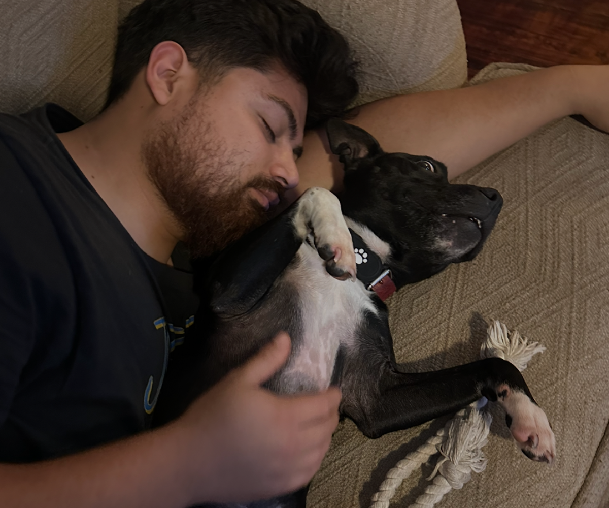 Owner lying down with a dog napping.